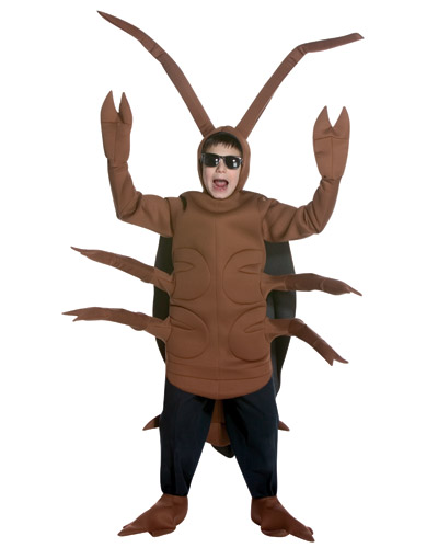 Scary Cockroaches